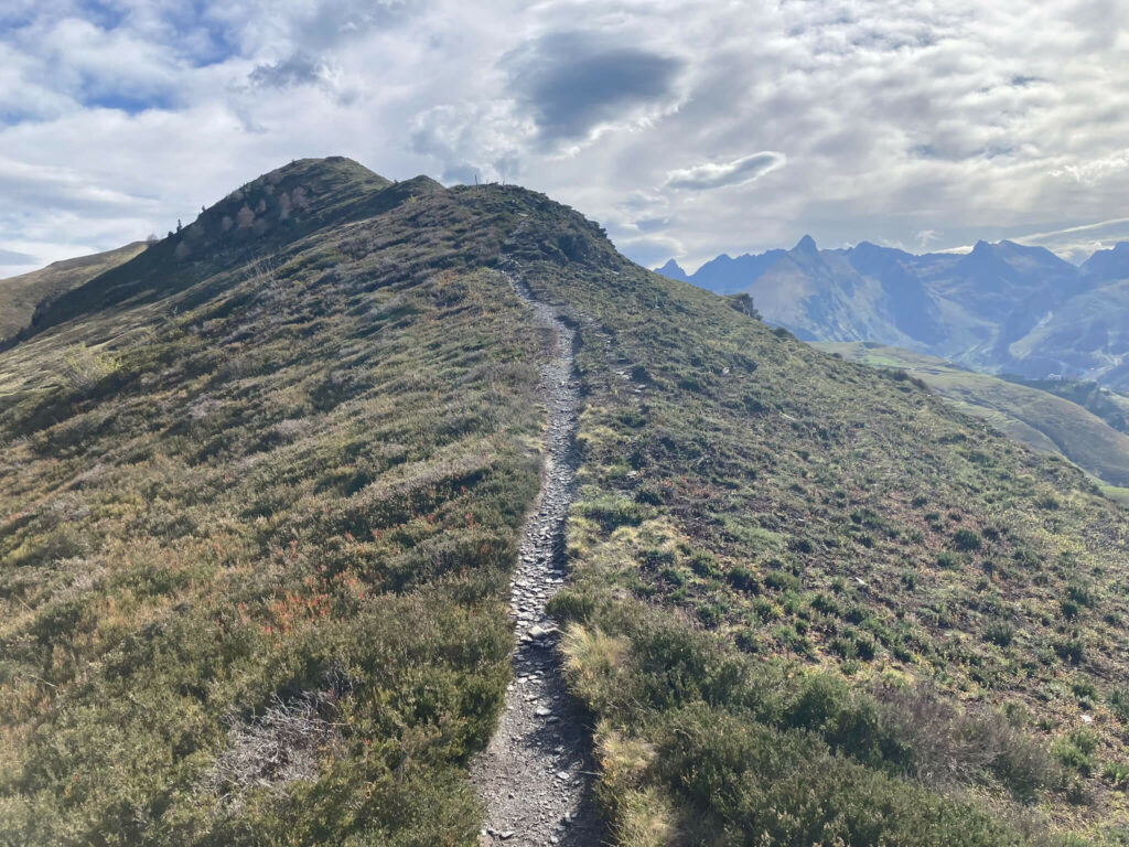 Coaching ondernemers